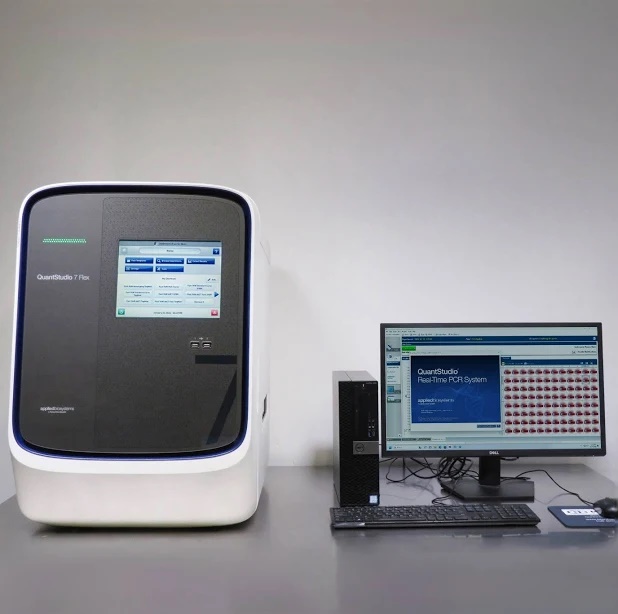 The Thermo Fisher QuantStudio real-time PCR system used for sterility screening